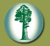 Sequoia.com.au's logo